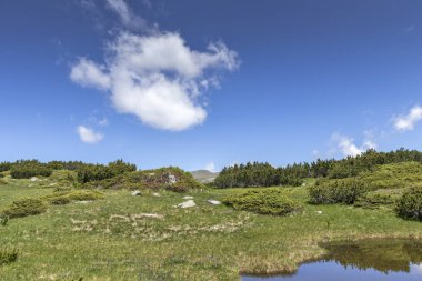 Balık Gölleri yakınlarındaki manzara, Rila dağı, Bulgaristan
