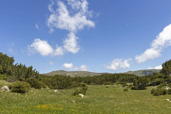 Landskap nära fisk sjöarna, Rila Mountain, Bulgarien — Stockfoto