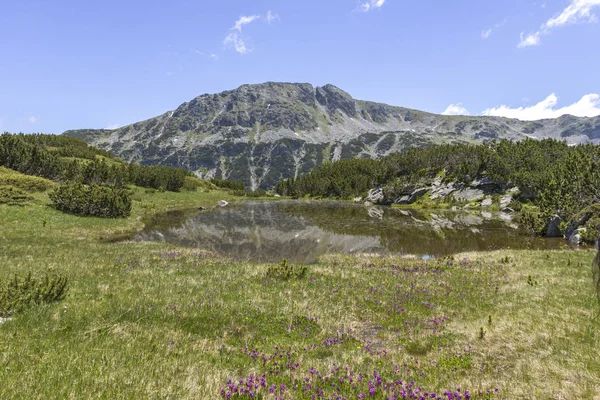 Paisaje cerca de The Fish Lakes, Montaña Rila, Bulgaria — Foto de Stock