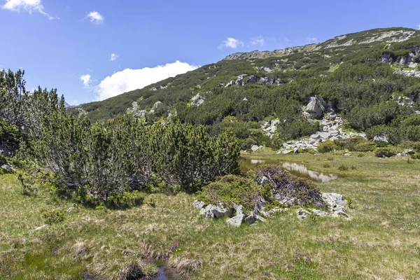 Landscape near The Fish Lakes, Rila mountain, Bulgaria — Stock Photo, Image