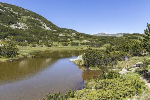 Landskab nær The Fish Lakes, Rila bjerg, Bulgarien - Stock-foto