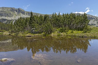 Balık Gölleri yakınlarındaki manzara, Rila dağı, Bulgaristan
