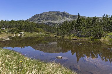 Balık Gölleri yakınlarındaki manzara, Rila dağı, Bulgaristan