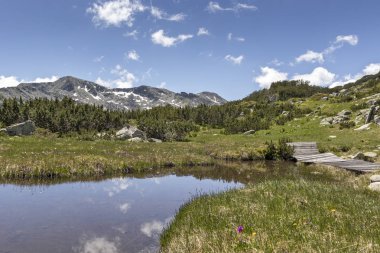 Balık Gölleri yakınlarındaki manzara, Rila dağı, Bulgaristan
