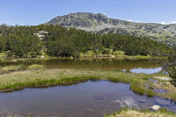 Paysage près de The Fish Lakes, Montagne Rila, Bulgarie — Photo