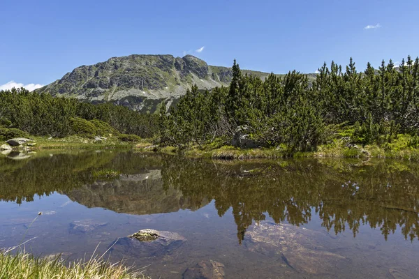 Landschap nabij de visvijvers, Rila-gebergte, Bulgarije — Stockfoto