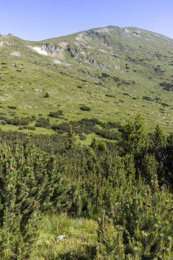 Belmeken Peak yakınlarındaki manzara, Rila dağı, Bulgaristan