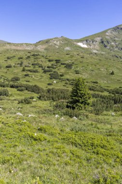 Belmeken Peak yakınlarındaki manzara, Rila dağı, Bulgaristan
