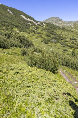 Belmeken Peak yakınlarındaki manzara, Rila dağı, Bulgaristan