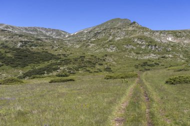 Belmeken Peak yakınlarındaki manzara, Rila dağı, Bulgaristan