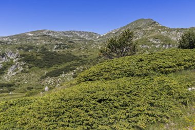 Belmeken Peak yakınlarındaki manzara, Rila dağı, Bulgaristan