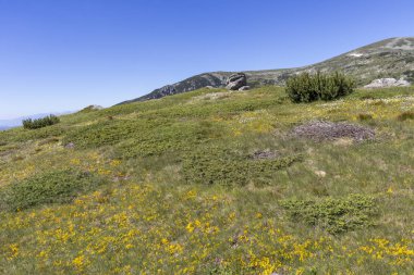 Belmeken Peak yakınlarındaki manzara, Rila dağı, Bulgaristan