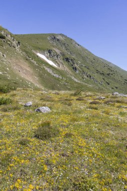 Belmeken Peak yakınlarındaki manzara, Rila dağı, Bulgaristan