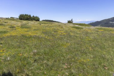 Belmeken Peak yakınlarındaki manzara, Rila dağı, Bulgaristan