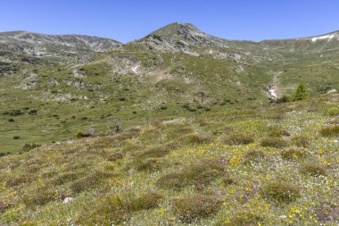 Belmeken Peak yakınlarındaki manzara, Rila dağı, Bulgaristan