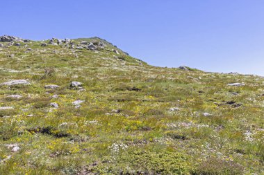 Belmeken Peak yakınlarındaki manzara, Rila dağı, Bulgaristan