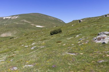 Belmeken Peak yakınlarındaki manzara, Rila dağı, Bulgaristan