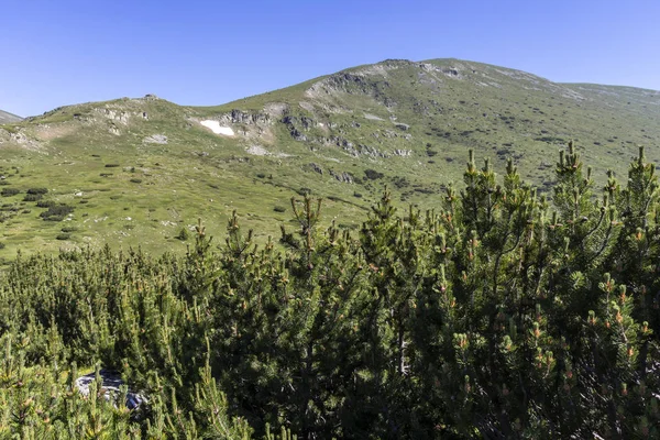 Krajina poblíž Belmekenu Peak, pohoří Rila, Bulharsko — Stock fotografie