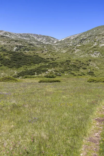 Krajina poblíž Belmekenu Peak, pohoří Rila, Bulharsko — Stock fotografie