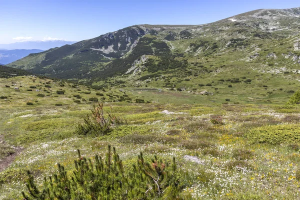 Krajina poblíž Belmekenu Peak, pohoří Rila, Bulharsko — Stock fotografie