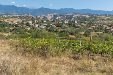 Melnik, Bulg kasabası yakınlarındaki Lozenitsa Köyü ve Asma tarlaları