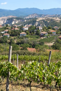 Melnik, Bulg kasabası yakınlarındaki Lozenitsa Köyü ve Asma tarlaları