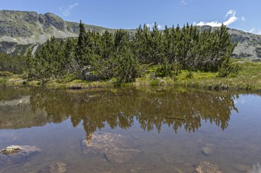 Balık Gölleri yakınlarındaki manzara, Rila dağı, Bulgaristan