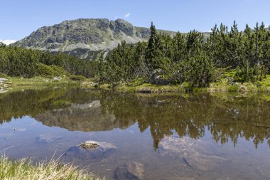 Balık Gölleri yakınlarındaki manzara, Rila dağı, Bulgaristan