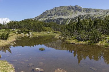Balık Gölleri yakınlarındaki manzara, Rila dağı, Bulgaristan