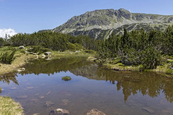 Balık Gölleri yakınlarındaki manzara, Rila dağı, Bulgaristan