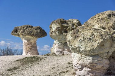 Kaya oluşumu Taş Mantarlar, Bulgaristan