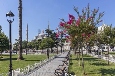 İstanbul'da Mavi Cami, Türkiye