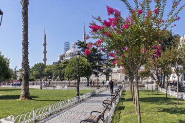 İstanbul'da Mavi Cami, Türkiye