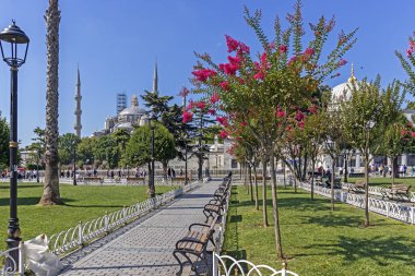 İstanbul'da Mavi Cami, Türkiye