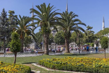 İstanbul'da Mavi Cami, Türkiye