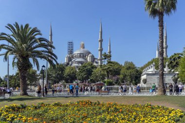İstanbul'da Mavi Cami, Türkiye