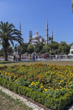 İstanbul'da Mavi Cami, Türkiye