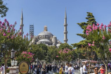İstanbul'da Mavi Cami, Türkiye