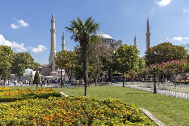 İstanbul'da Mavi Cami, Türkiye