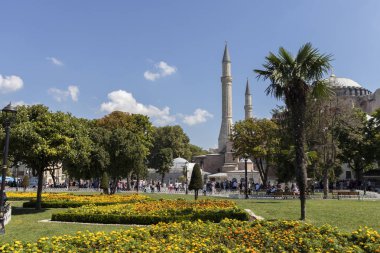 İstanbul'da Mavi Cami, Türkiye