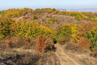 Cherna Gora (Monte Negro) dağının sonbahar manzarası, Pernik Bölgesi, Bulgaristan
