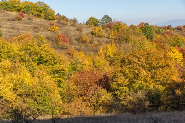 Cherna Gora (Monte Negro) dağının sonbahar manzarası, Pernik Bölgesi, Bulgaristan