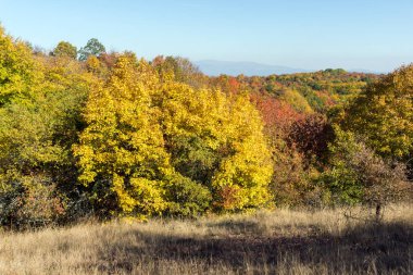 Cherna Gora (Monte Negro) dağının sonbahar manzarası, Pernik Bölgesi, Bulgaristan