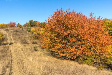 Cherna Gora (Monte Negro) dağının sonbahar manzarası, Pernik Bölgesi, Bulgaristan