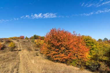 Cherna Gora (Monte Negro) dağının sonbahar manzarası, Pernik Bölgesi, Bulgaristan