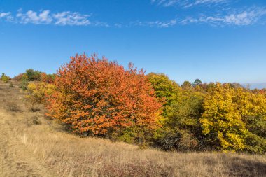 Cherna Gora (Monte Negro) dağının sonbahar manzarası, Pernik Bölgesi, Bulgaristan