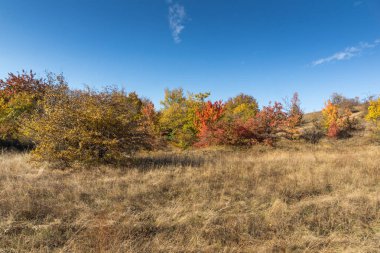 Cherna Gora (Monte Negro) dağının sonbahar manzarası, Pernik Bölgesi, Bulgaristan