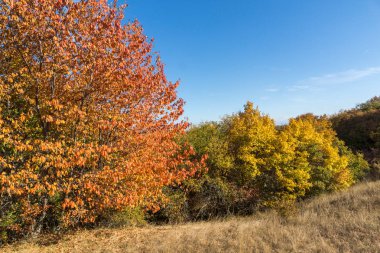 Cherna Gora (Monte Negro) dağının sonbahar manzarası, Pernik Bölgesi, Bulgaristan