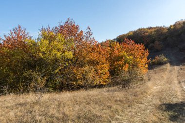 Cherna Gora (Monte Negro) dağının sonbahar manzarası, Pernik Bölgesi, Bulgaristan