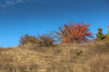 Cherna Gora (Monte Negro) dağının sonbahar manzarası, Pernik Bölgesi, Bulgaristan
